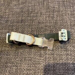 Target Mint Green Dog Collar, medium